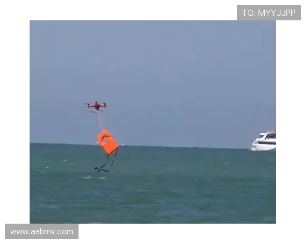 无人机在海洋搜救中的识别技术