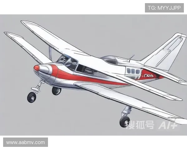 飞机机翼前缘防冰的热平衡仿真